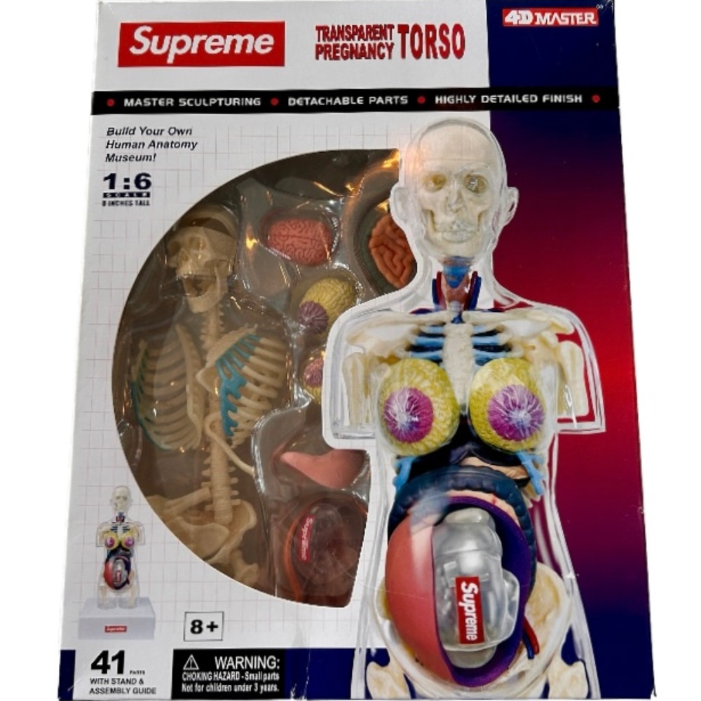 Supreme Pregnancy Model with bag and 2 bumper stickers